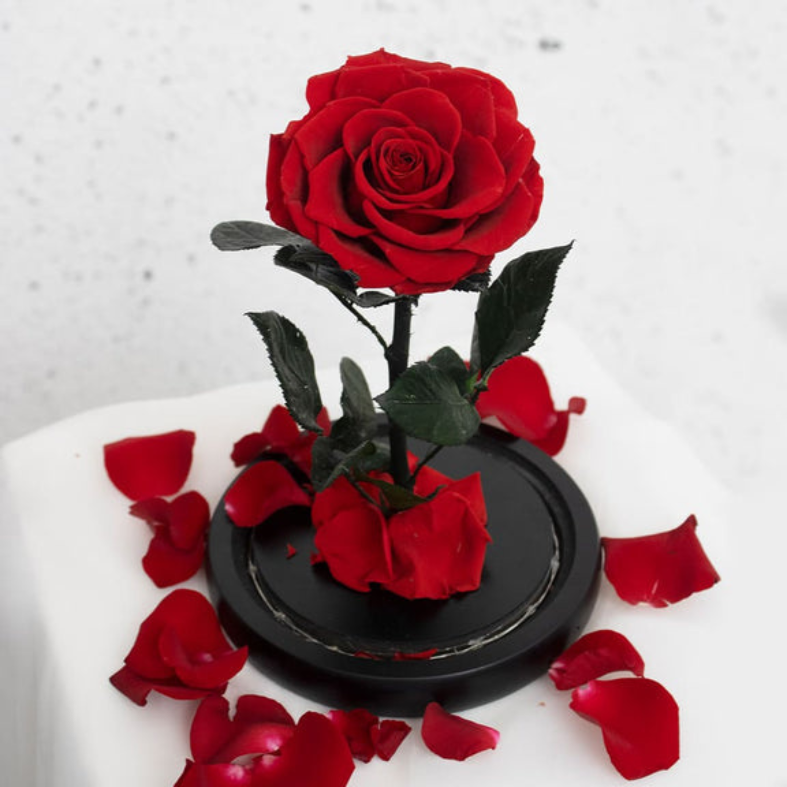 Pink Perfection Hover