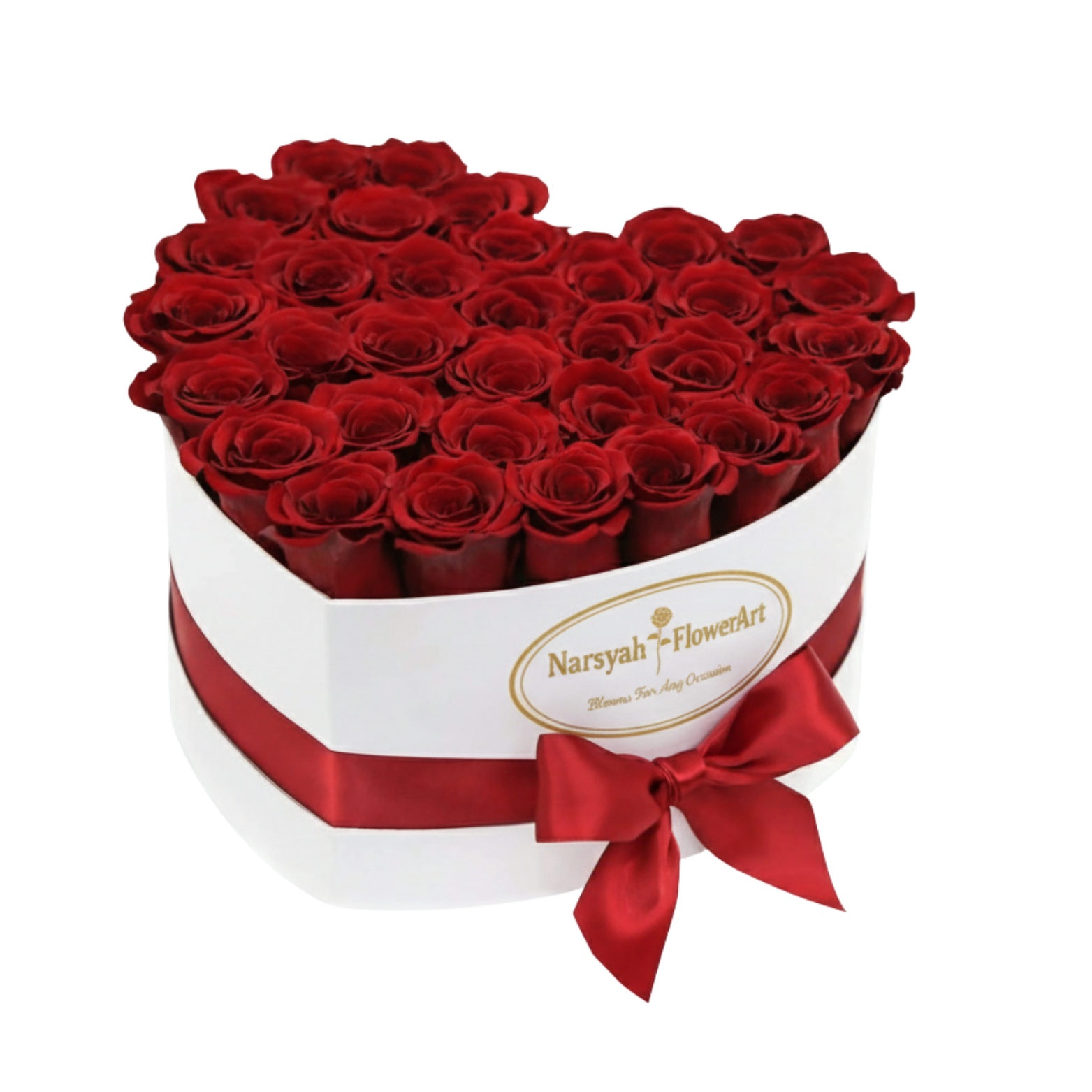 Blushing Rose Snow Hover