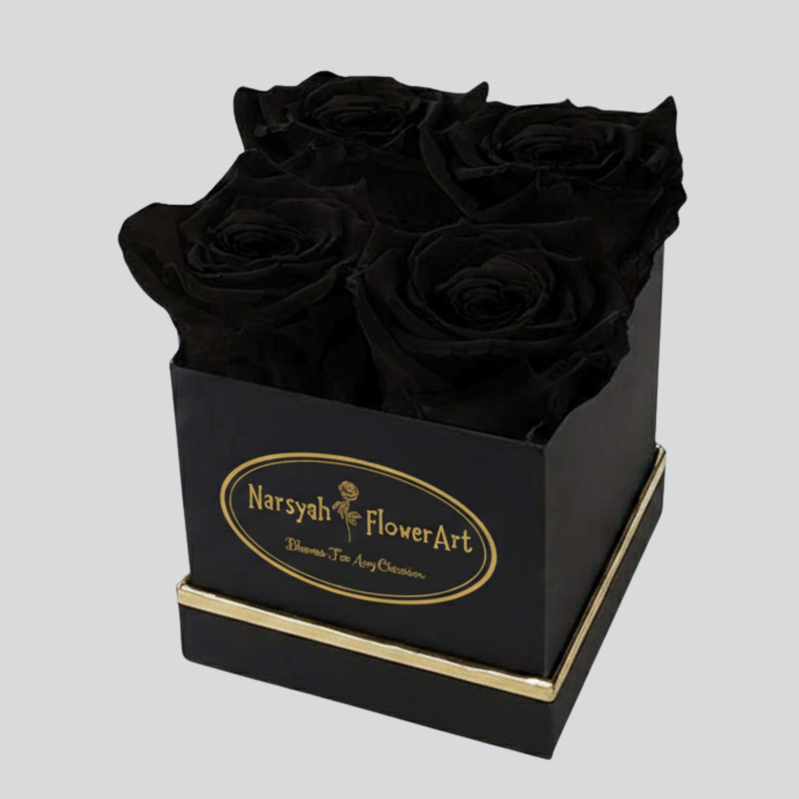 Tropical Oasis Hover