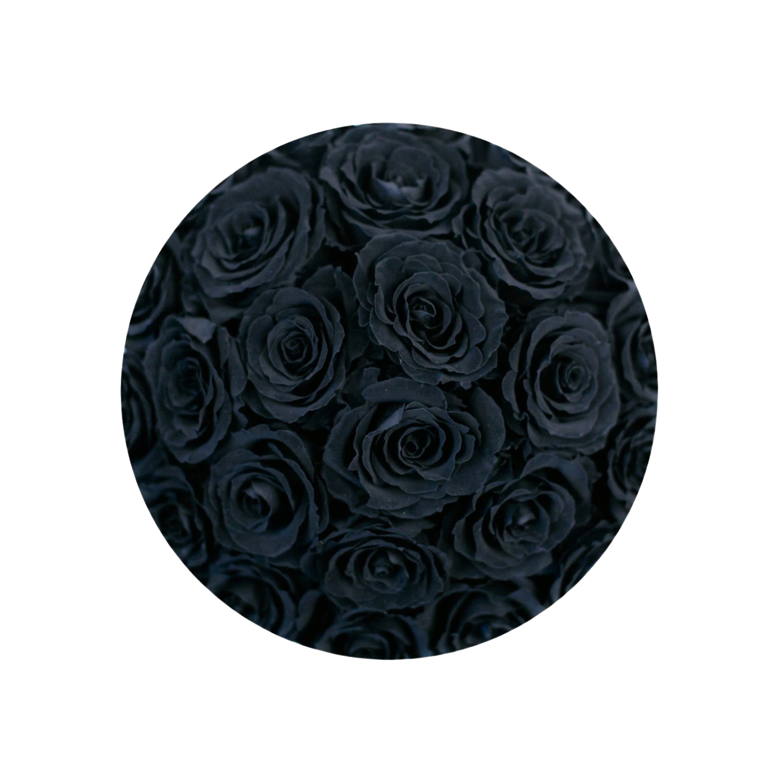 Pink Perfection Hover