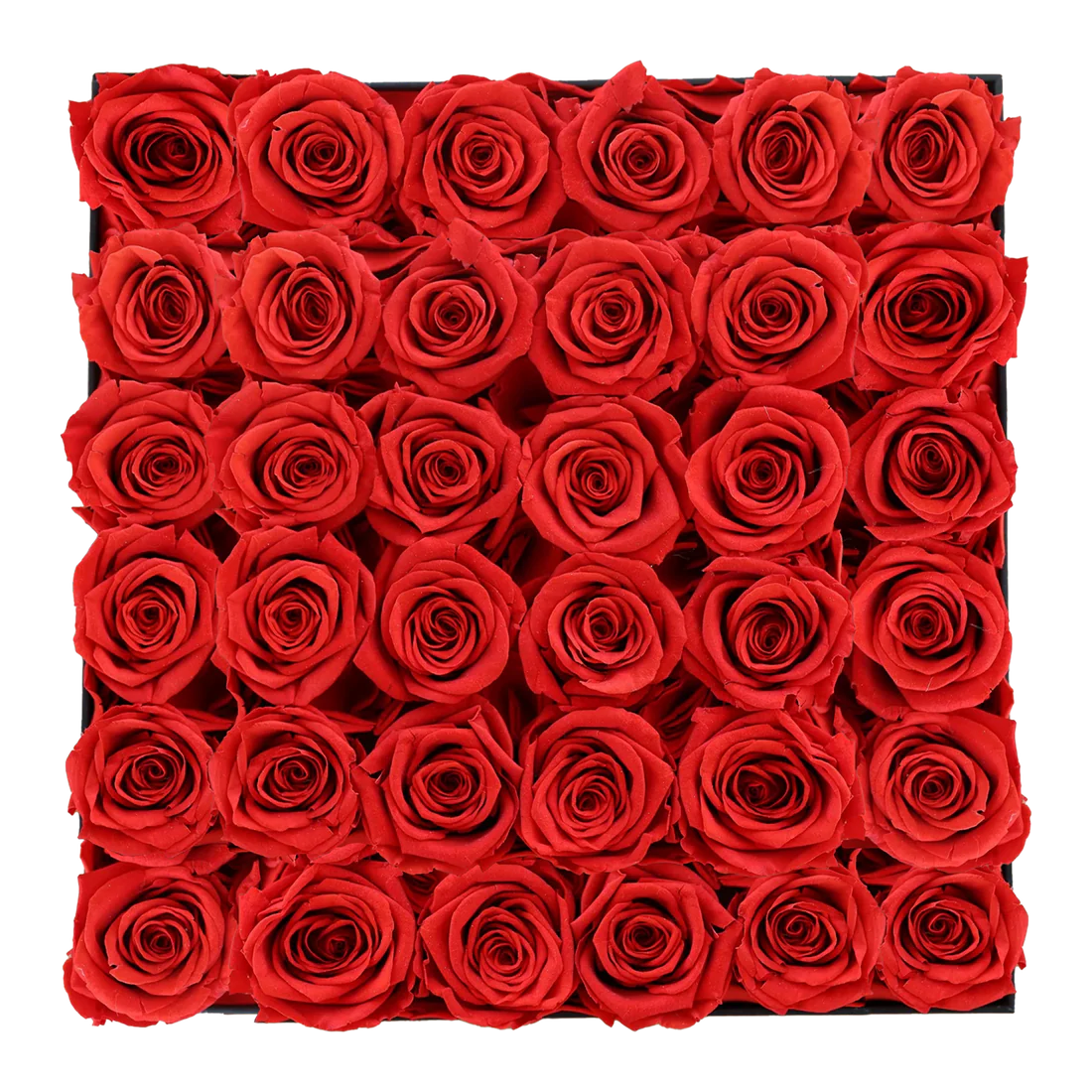 Pearl Blossoms Hover