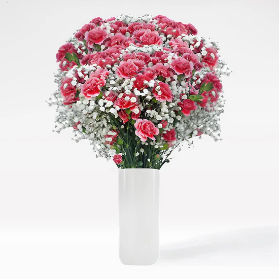 Pink Perfection Hover